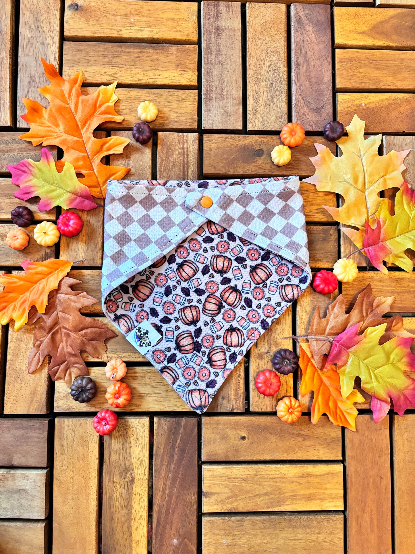 Pumpkin Patch Palooza