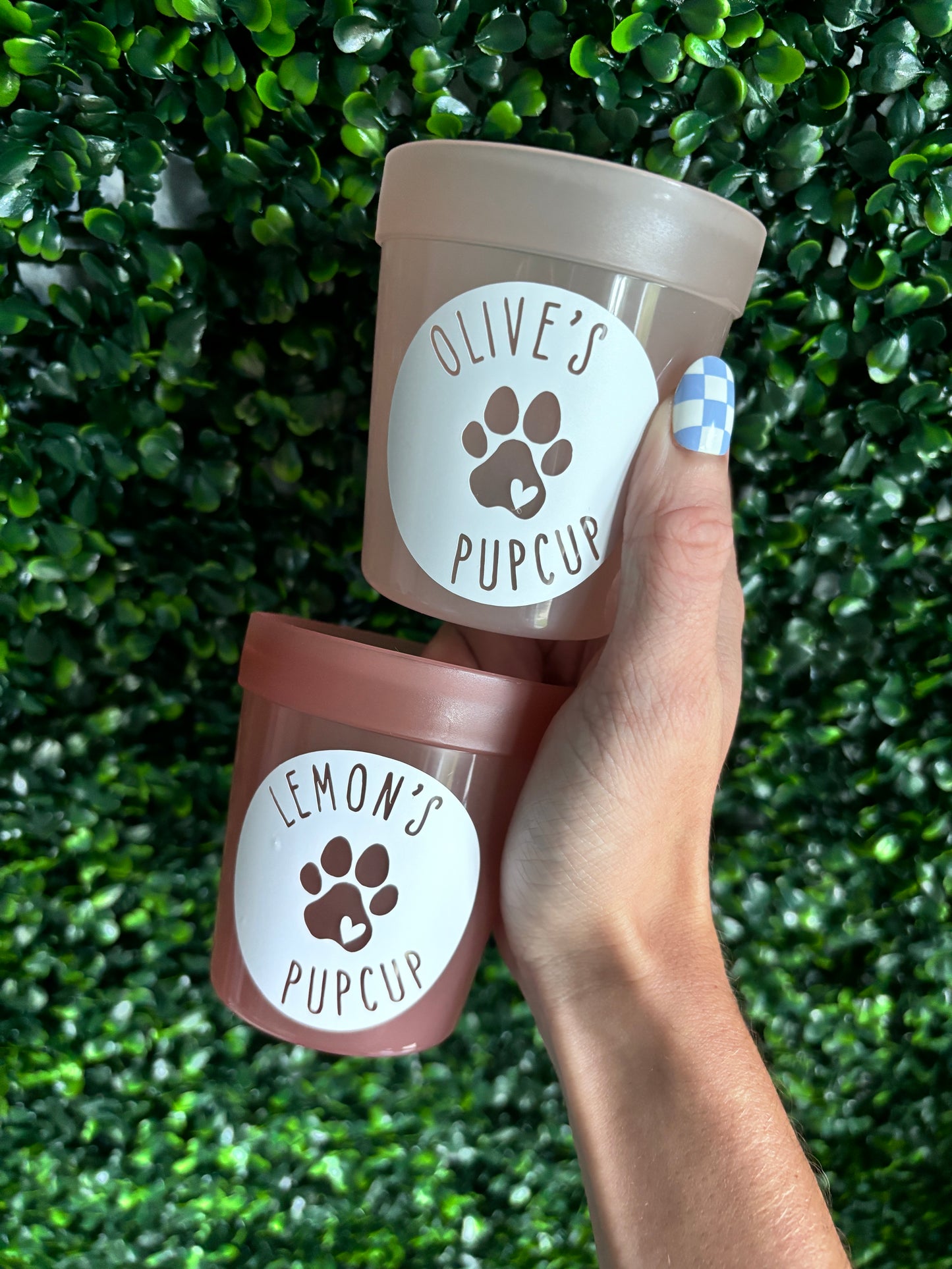Pup Cups