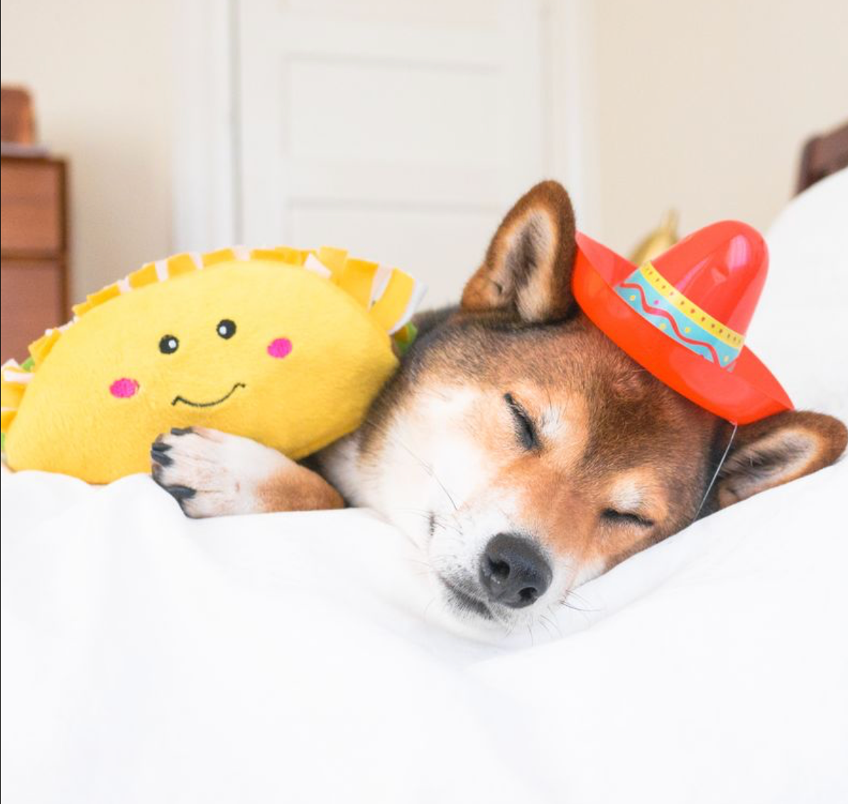 NomNomz® - Taco