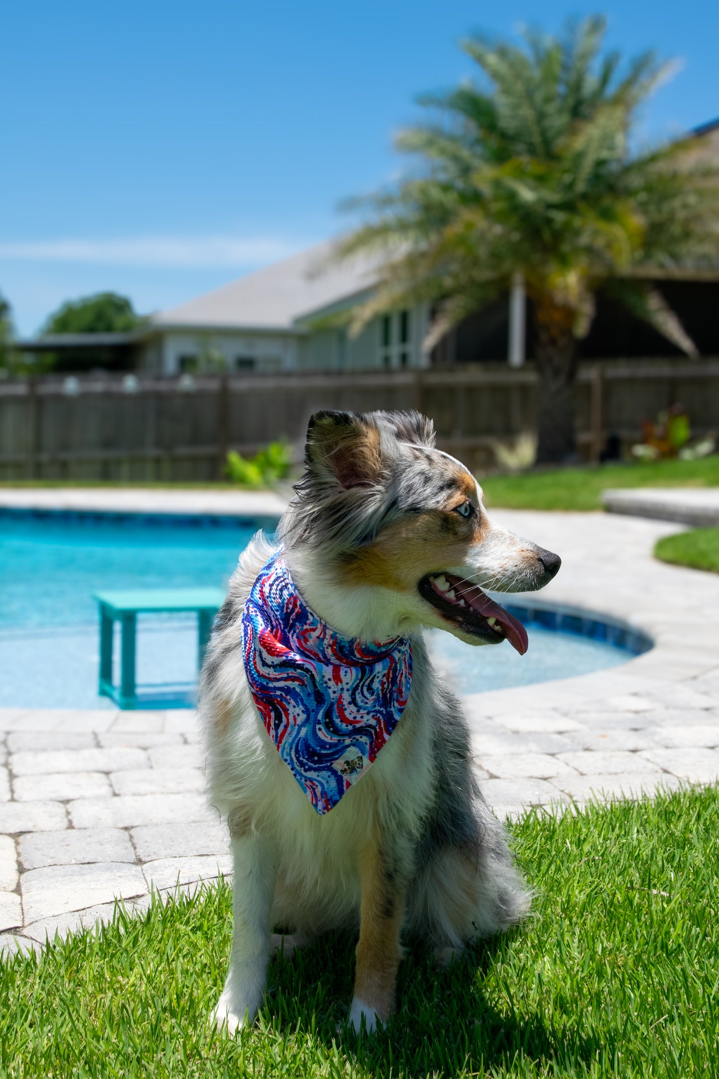 Red, White & Smiles Bandana
