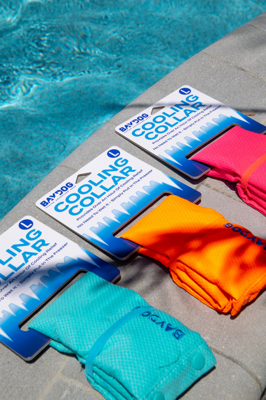 BayDog Cooling Collar