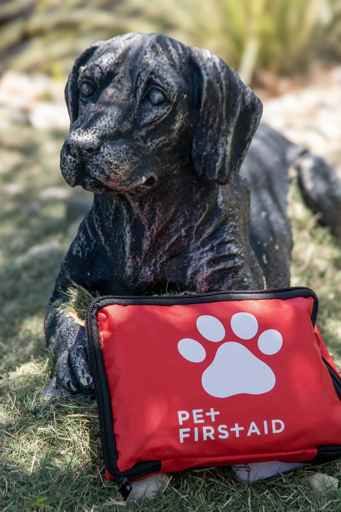 Pet First Aid Kit