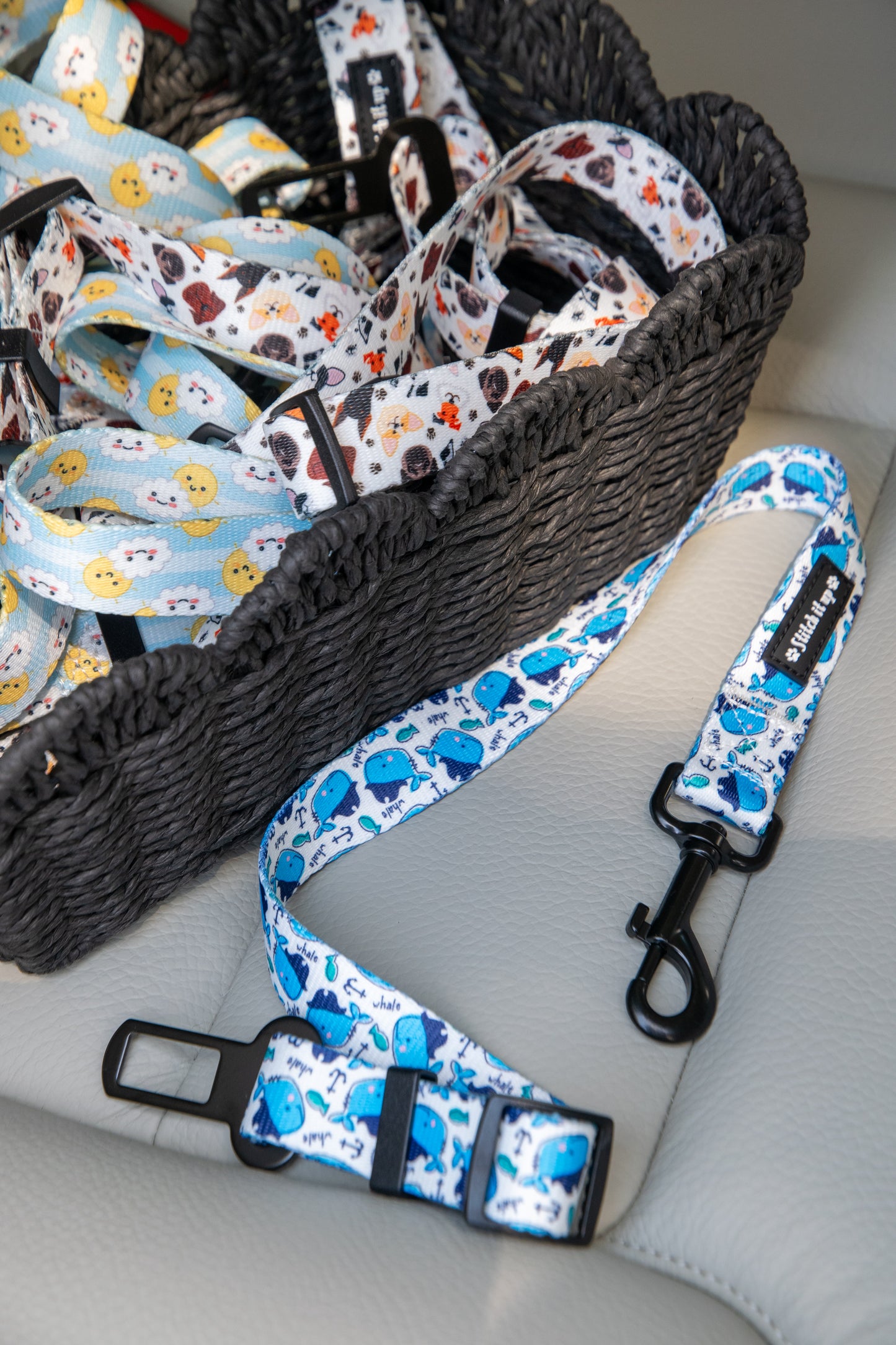 Seatbelts