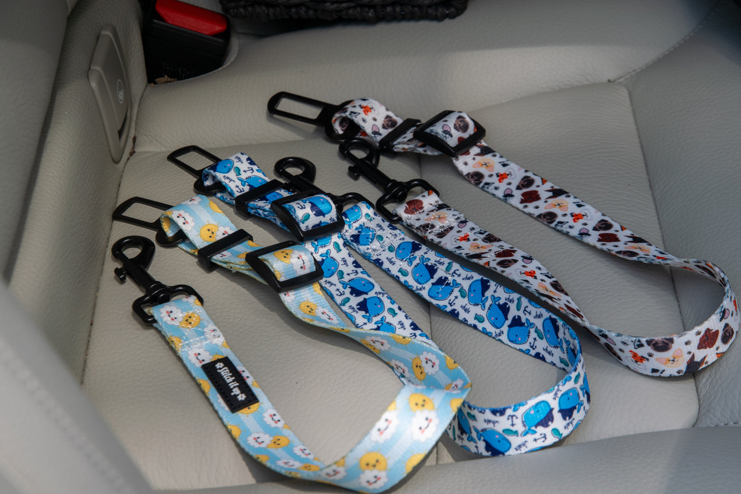 Seatbelts