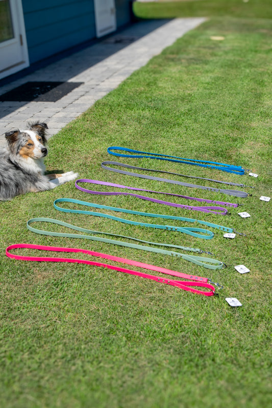 Biothane Leash