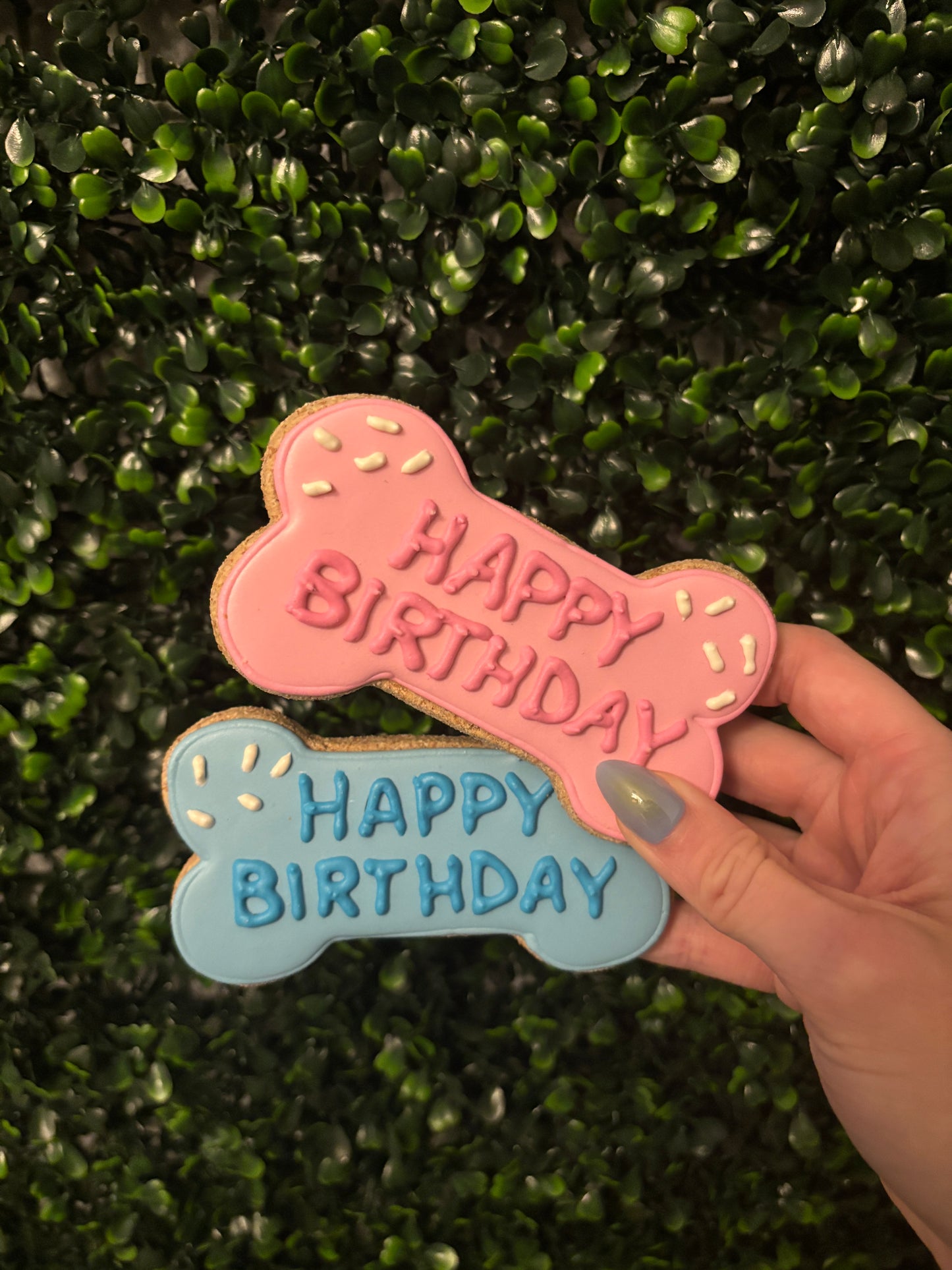 Barkday Bone Treats