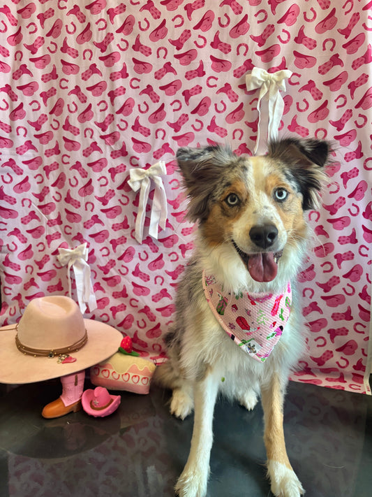 Saddle Sweetheart