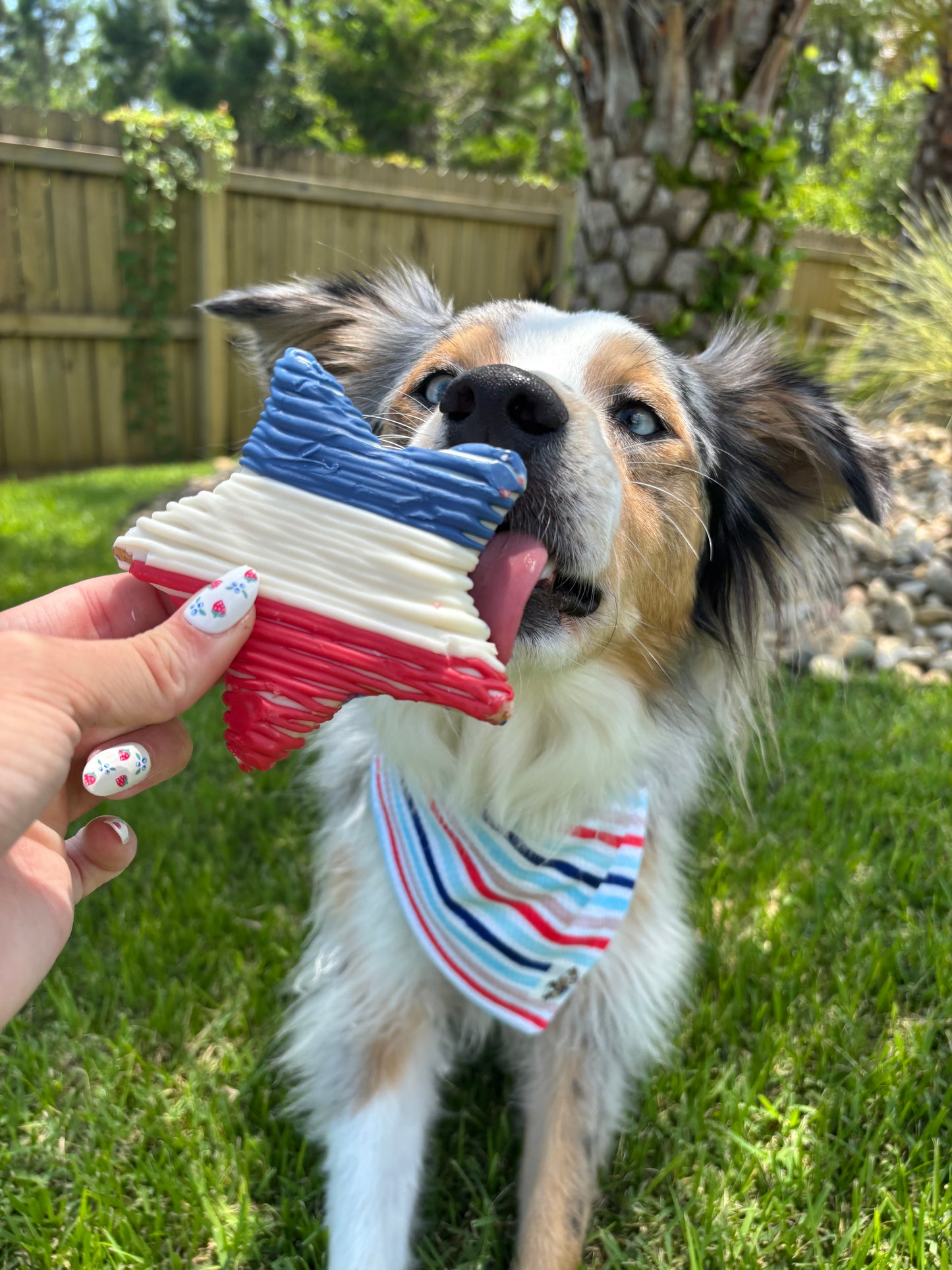 American Star Treat