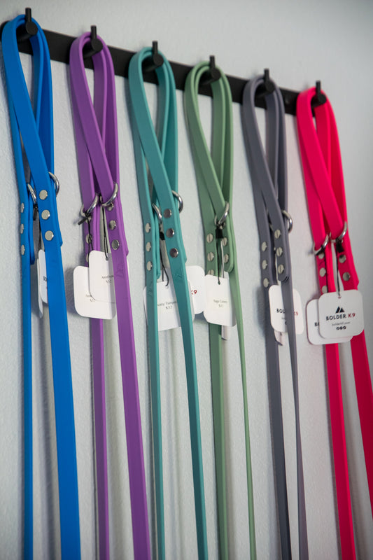 Biothane Leash