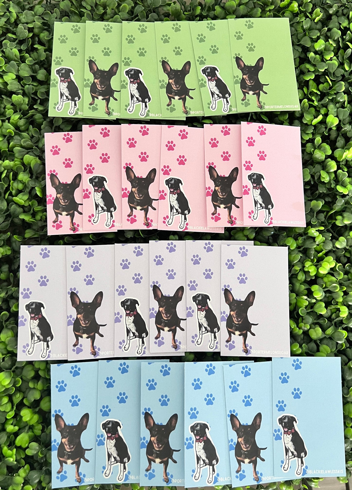 Mini Cards