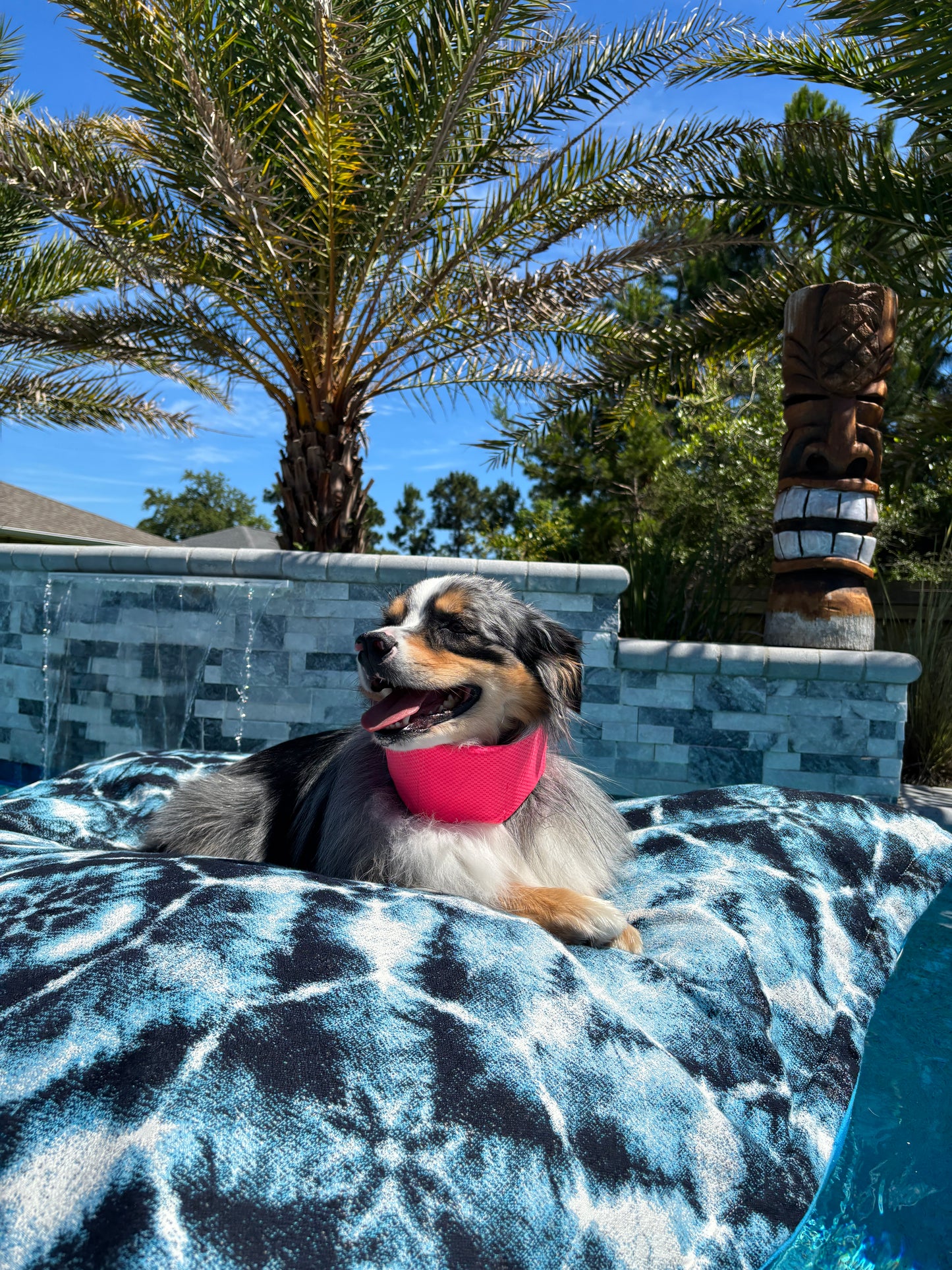 BayDog Cooling Collar