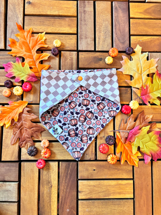 Pumpkin Patch Palooza