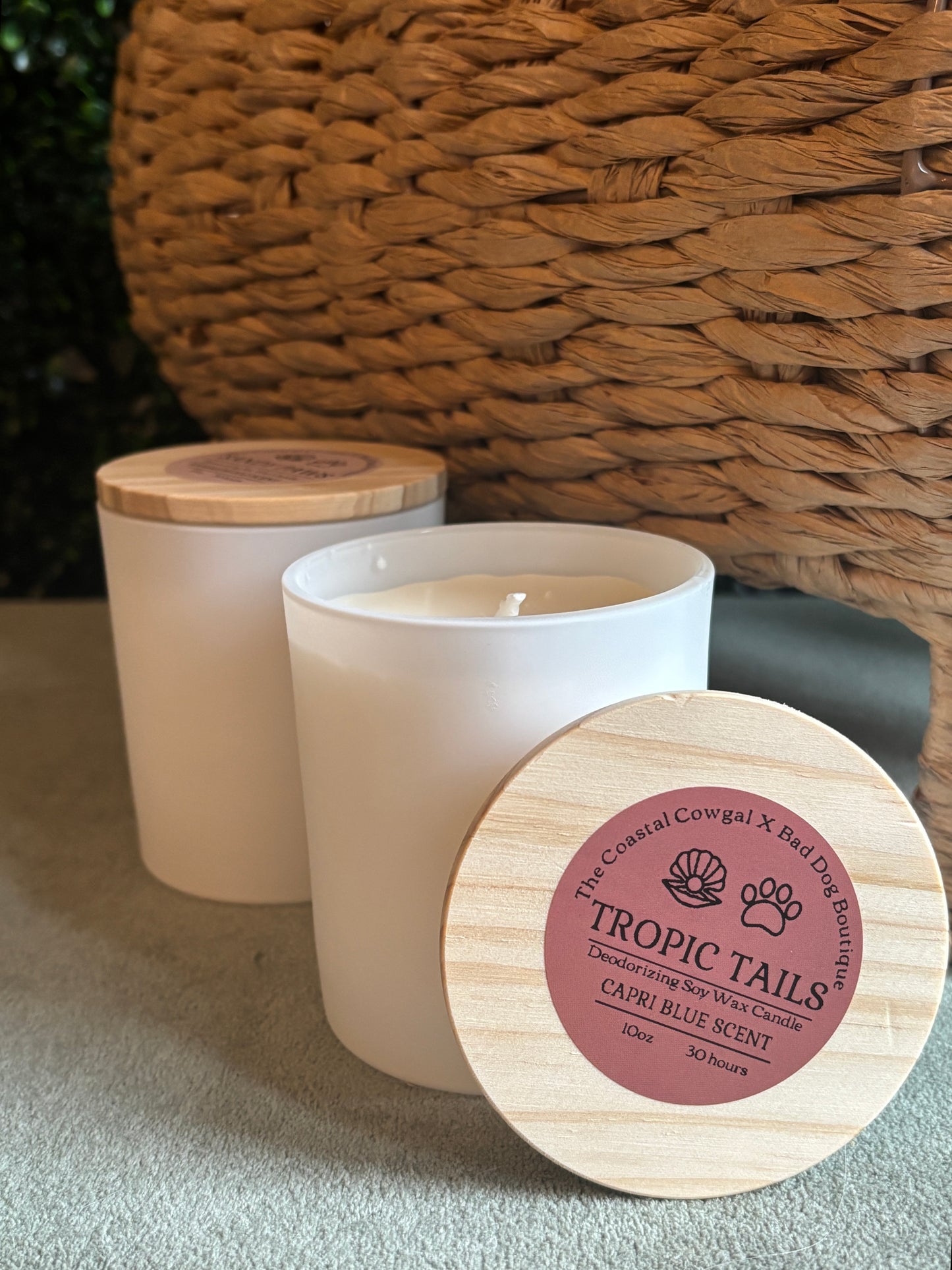 Tropic Tails Candle
