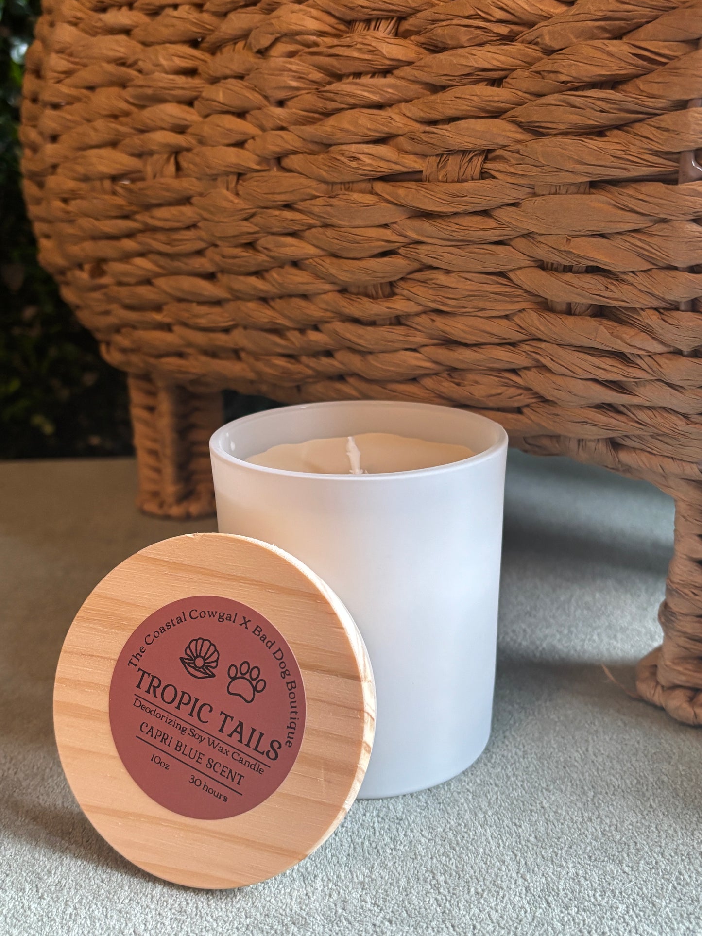 Tropic Tails Candle