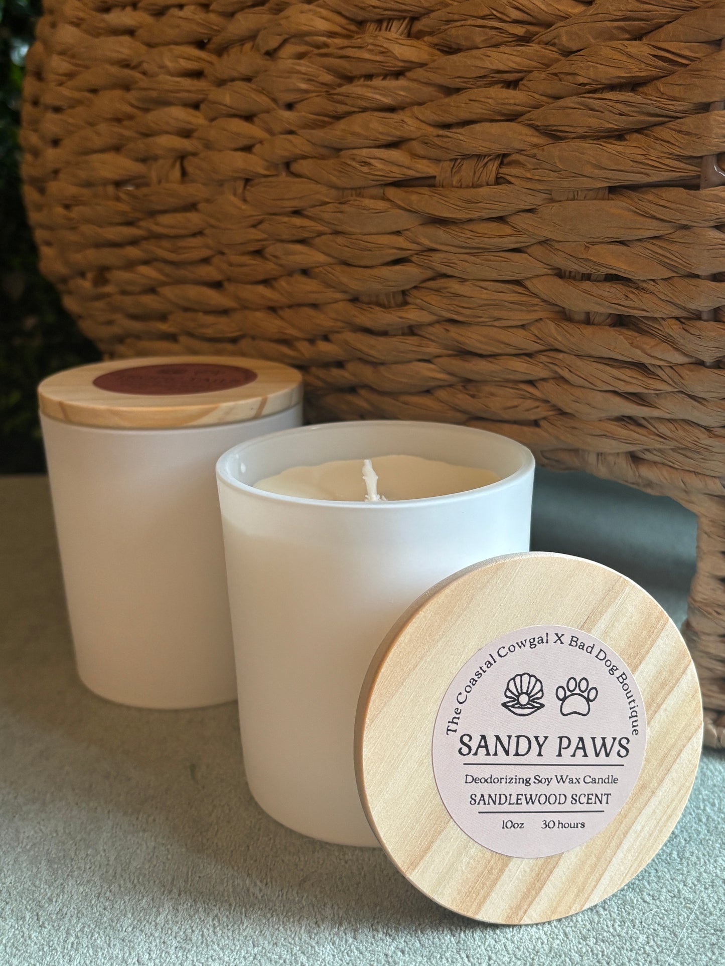 Sandy Paws Candle