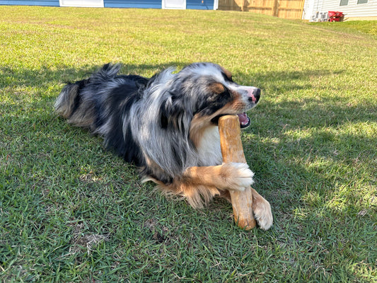 Coffee Wood Sticks