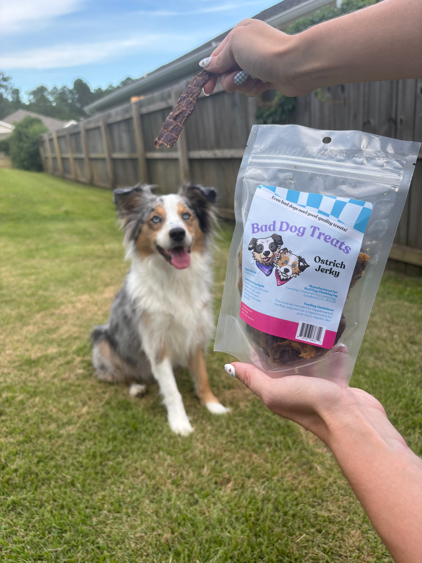 Ostrich Jerky