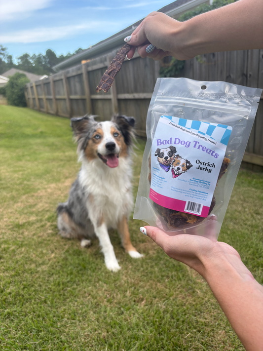 Ostrich Jerky